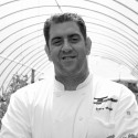 Steve Mannino