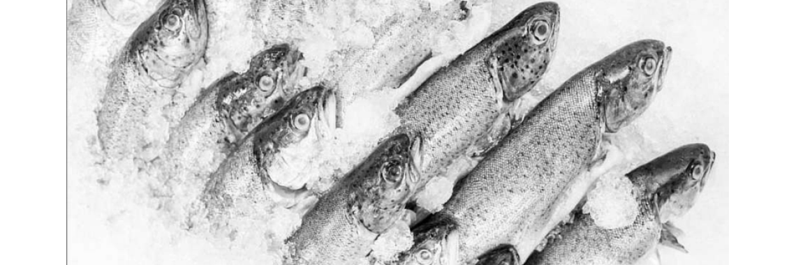 We're Eating More Fish - Is it a good thing?