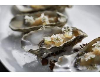 oysters